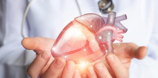 10 érdekes infó a szívről 10 érdekes infó a szívről
