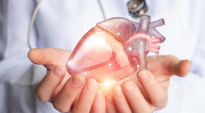 10 érdekes infó a szívről 10 érdekes infó a szívről