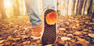 10 000 lépésről lépésre egészséges életmód napi 10000 lépés