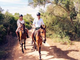 Barátság, sport, művészet – lovaglás Barátság, sport, művészet – lovaglás