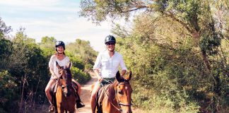 Barátság, sport, művészet – lovaglás Barátság, sport, művészet – lovaglás