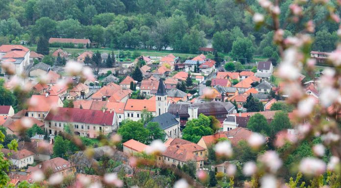 Egy korty Tokaj tokaj