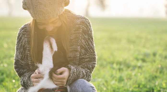 Állati jó! állati jó