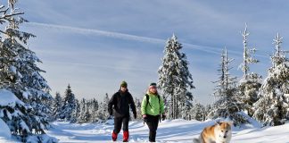 Utazás a kedvenc helyedre a kedvenceddel! Utazás a kedvenc helyedre a kedvenceddel!