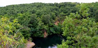 Tengerszem a Mátrában