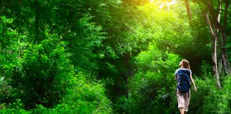 Csendes kirándulások a természetben