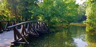 Egy séta hazánk legnagyobb botanikus kertjében