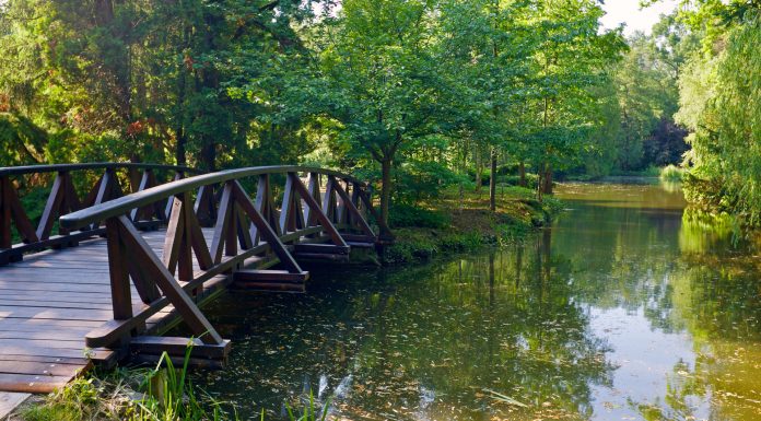 Egy séta hazánk legnagyobb botanikus kertjében