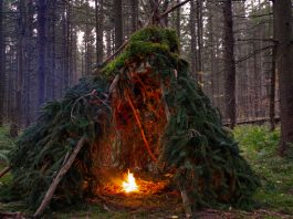 Bushcraft – túlélés és tanulás a természetben
