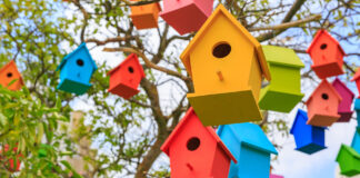 A madarak éneke is növeli az elégedettség-érzésünket