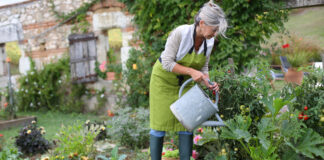 Lakás mellé hobbikert