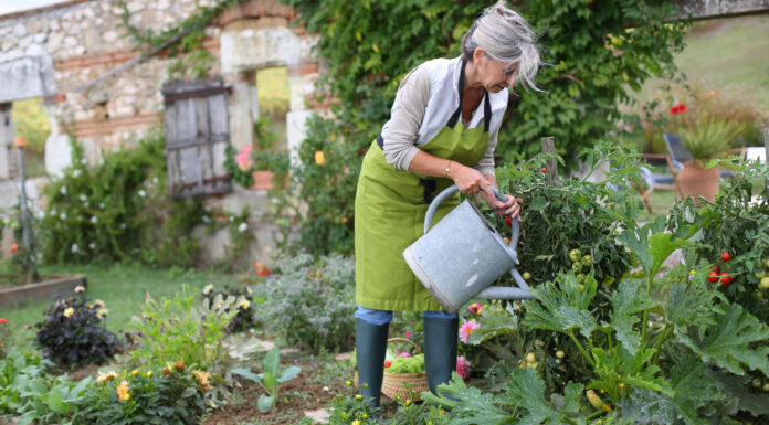 Lakás mellé hobbikert