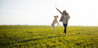 Mozgás a kutyánkkal – közös séták