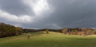 Bánkút, a Bükk lüktető szíve