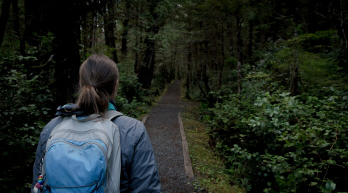 Túrázz éjszaka és hajnalban!