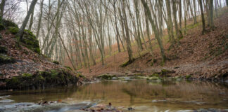 Szurdok és vízesés a Bakonyban