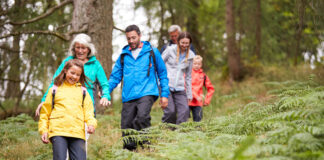 Túra az erdő fölött – lombkorona tanösvények