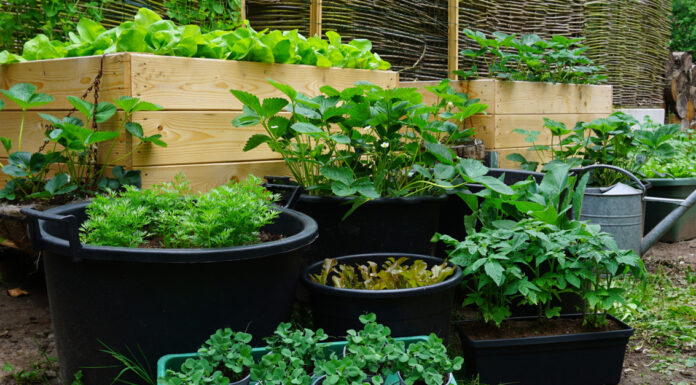 Modern családi kertek apró magaságyásokban