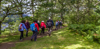 A túrázás felér egy terápiával