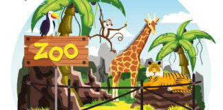 Állat- és növénykerti látogatásokra fel!