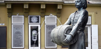 A különc borvidék városa, Sopron – A babtermelőknél jártunk